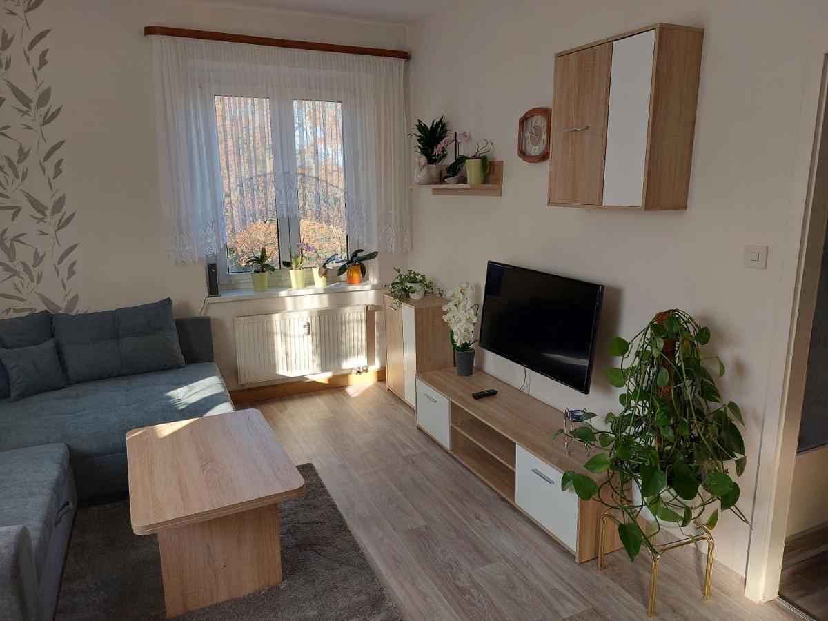 Ferienwohnung Lehmann Pirna Bagian luar foto